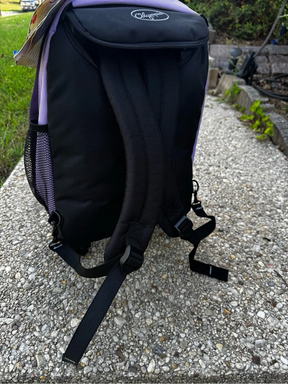 Casual Gear Purple Rolling Laptop Backpack with Dual-Tone Design